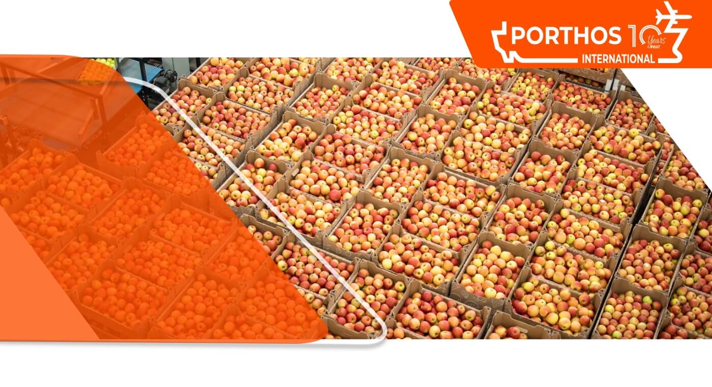 Do Brasil para o mundo: descubra os principais cuidados na hora de exportar frutas!